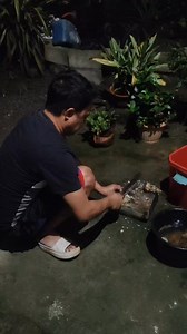 7.3K views · 240 reactions | Anion Ra Ang saang Aron Dili lisod kuhaon Ang unod og ma luto | Kuya Gil's Vlog | Facebook