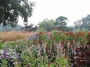 Tout savoir sur le jardin naturaliste - Elle Décoration