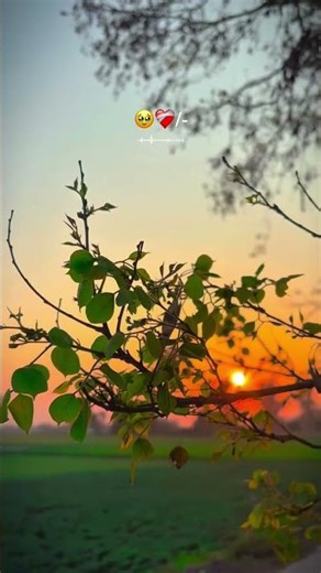 humra Naam ki Mehandi Racha gai