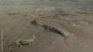 Water gently lapping onto shore of Käsmu Bay, Baltic Sea, Estonia