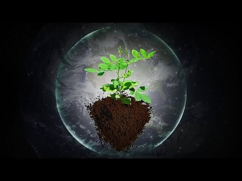 Music for Plants - Music Stimulation for PLANT HEALTH - Brainwave Entrainment