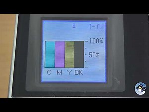 Epson Stylus DX6000: How to Check Estimated Ink Levels