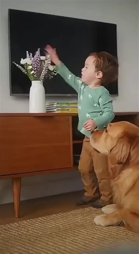 Toddlers’ Hilarious Moments #toddlersbelike #cutekids #funnykids #parentinghumor #toddlerlife