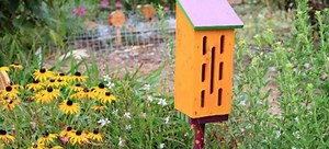 Build A Butterfly House In 5 Steps | DoItYourself.com