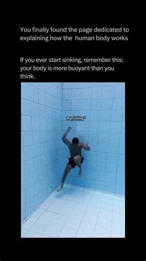 The Human Body 🧬 on Instagram: "Follow @explainingthebody to learn everything about the human body one post at a time 🧠⚙️ If you find yourself sinking into deep water, the most important biological factor to manage is your buoyancy. Your body’s density is naturally close to that of water, but your lungs act as internal flotation devices. By taking a deep breath and holding it, you increase the volume of your chest cavity without adding significant weight, effectively lowering your specific gra