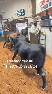 Comanche Livestock Auction on Reels