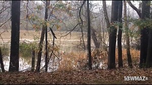 Ocmulgee River in minor flood stage