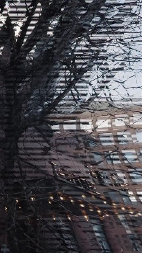 Gray Area on Instagram: "Remembering January at Gray Area 🪩✨🎶"