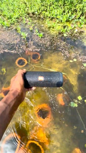 Jbl bass essential2 water me matka test