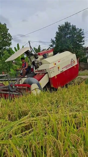 MAXXI || #automobile #farming #maxxibimoterbaru #combineharvester #maxxibimo102standar #agriculture
