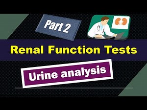 Renal Function Tests (Part 2) | Urine Analysis | Biochemistry Lecture