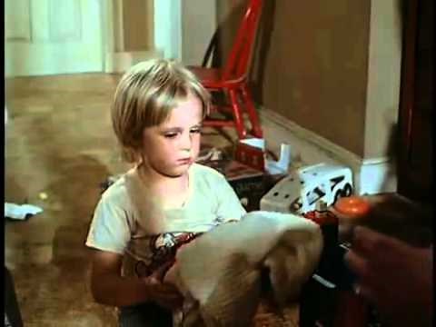 Mr_Mom_Wooby