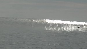 345K views · 10K reactions | Indonesia has reopened the borders and HT’s Resort is offering a massive 50% discount until the end of October!! Price per person per day: USD 110/day (all inclusive, includes 10% tax) DM 4 details! ➖➖➖➖➖ We can get you there! Book your trip with us! Contact us for details and booking! Whatsapp: +6281337777769 Email: digone@balisurfconnection.com | Bali Surf Connection | Facebook