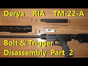 DERYA RIA TM22-A Bolt and Trigger. Full Monty Disassembly. 2/2. Read note below.