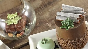 2K views · 11 reactions | The NEW Flower Pro Ultimate Succulents Mould makes five styles of succulents not just for cakes, but using air drying clay, polymer clay and more – jump on the trend for succulents in home decor projects and botanical themed gifts. Missed our live launch shows yesterday? Don't worry, you can watch again and shop the show here: bit.ly/SucculentsLaunch | Katy Sue Designs Crafts | Facebook