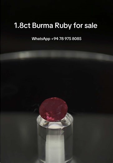Burma Ruby for Sale - 1.8ct Red Gemstone