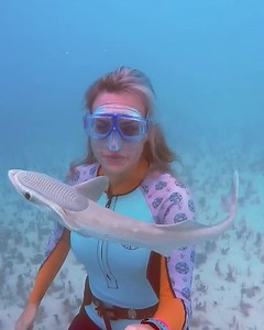 Mermaid Haircut! 📹: @onebreathbeth . . . . #freediving #freedive #girlswhofreedive #snorkel #snorkeling #snorkelling #ocean #sea #underwater #underwaterworld #nature #instanature #seacreatures #remora #suckerfish #marinebiology #marinebiologist #marinebio #animalinteraction #oceanlife #oceanlover #oceanlovers #discoverocean #roamtheoceans #earth #earthpix #bbcearth #travel #beautifuldestinations | Ocean Lovers United