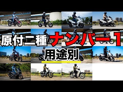 原付二種の用途別おすすめナンバー1車種を発表！今まで試乗した13台からチョイス