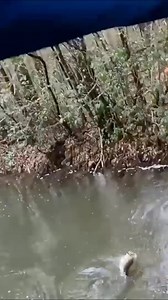 Can’t believe what was hiding In this spillway! | AnglerUp with Brant