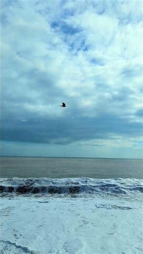 Massive Wave Impact 🌊 Feel the Ocean’s Power