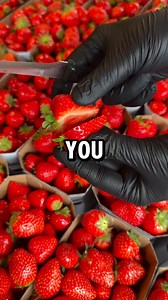 Presented by Purelifelyy Optimise your health These healthy life hacks helps us to understand the importance of taking care of our health for a balanced life.😛 #healthytips #fruits #vegetables #information #purelifelyy Disclaimer This site offers information designed for educational purposes only. If you have any concerns or questions about your health, you should always consult a physician or other healthcare professional | Caribbean Delights