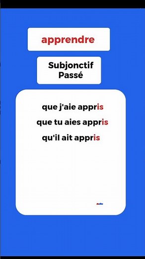 Conjugaison - Subjonctif Passe - apprendre