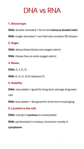 DNA or RNA? Key differences explained