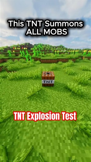 Every Mob in Minecraft TNT #minecraftshorts