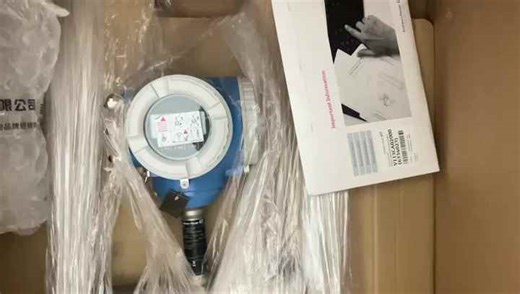 Endress Hauser FTM21-4G245A Level Sensors