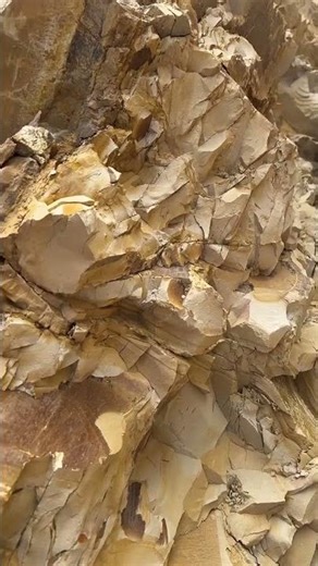 #ASMR #Crunchy #OddlySatisfying #EatingSounds #RelaxingSounds #calmingsound #SatisfyingASMR #earthy