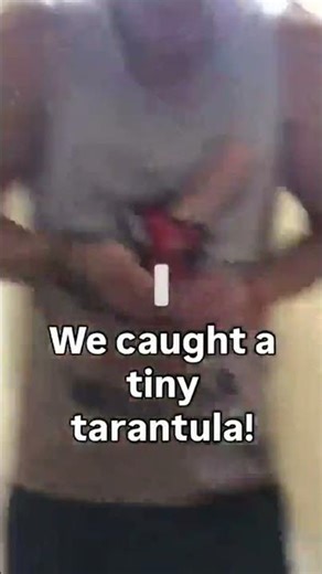 Fun times outdoors! Finding a friendly little tarantula