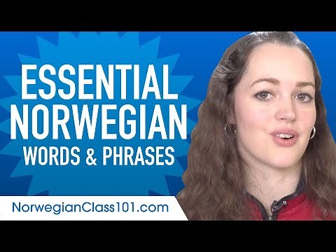 Essential Norwegian Words and Phrases to Sound Like a Native