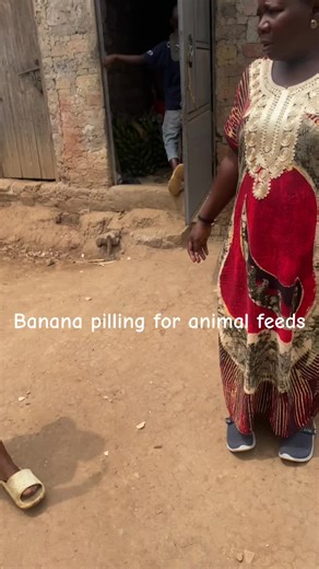 Innerbalance (@innerbalancehealing)’s videos with original sound - Innerbalance