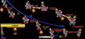Unterschied zwischen Glykolyse und TCA-Zyklus | Glykolyse vs TCA-Zyklus - Wissenschaft & Natur 2026