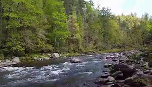 It's a beautiful morning to be in the North Georgia mountains. #exploregeorgia | Explore Georgia