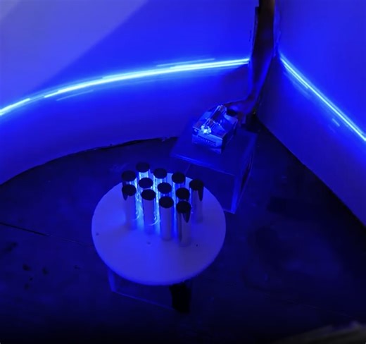 The butterfly effect explained!