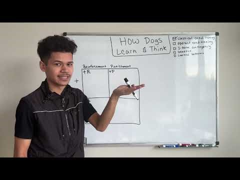 How Dogs Learn & Think