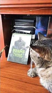 Swamp Thing: DVD/Series Review