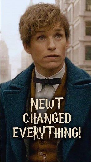 Why Newt Scamander Was More Powerful Than People Realised