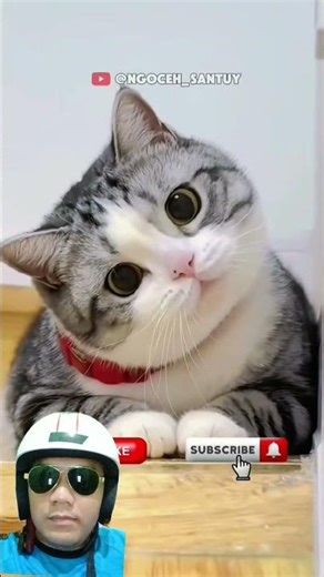 The danger of swinging too high #senatsenutlucu #shorts