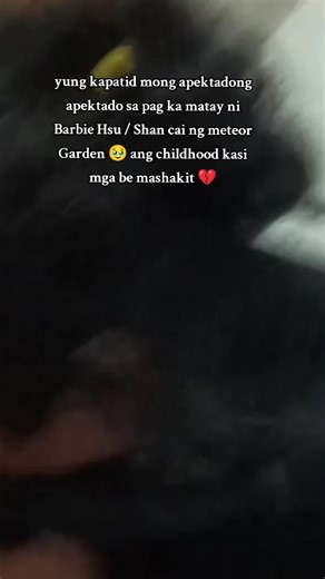 Barbie Hsu's Legacy: Remembering Shan Cai from Meteor Garden