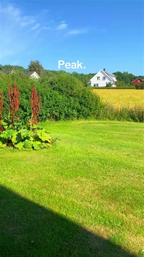 Summer Adventures in Kristiansand, Norway