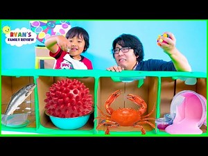 What's in the Box Challenge with Ryan's Family Review - Videos For Kids