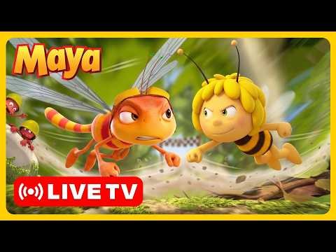 🔴 LIVE! Maya The Bee – Best Sports Episodes! ⚽️ Adventure 🐝 For TV - Cartoons and Videos For Kids