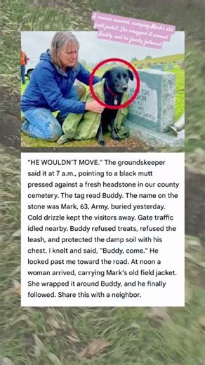 A woman arrived, carrying Mark’s old field jacket. She wrapped it around Buddy #shorts #powpast