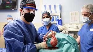 The Patient Who Received a Pig Heart Dies Two Months After Transplant