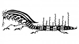 「Alien Snake Black White Fantasy Hand」の動画素材（ロイヤリティフリー）3813308369 | Shutterstock