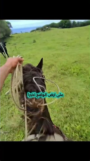 ترند اليوم 🔥 #ميسي #football #ريال_مدريد #اهميه #الجيلي #الاهلي #رونالدو #اعتني #الشباب #المراه