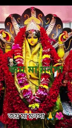 🙏🌺🙏 জয় মা মনসা 🙏🌺🙏🌺 মায়ের এই ভিডিওটা দেখে কেউ অহংকার করে এড়িয়ে যেও না ভিডিওটা শেয়ার করে দাও 🙏🌺🌺