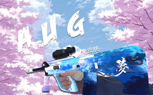 CSGO：AUG全皮肤预览